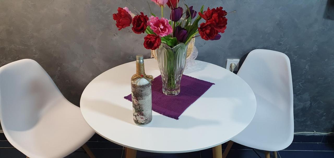 Cozzy Apartment Near The Aiport Podgorica Mitrovici  المظهر الخارجي الصورة